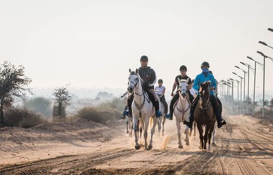Desert Horse Riding- 1 Hour