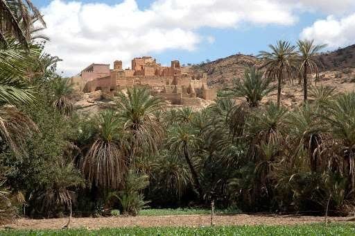 from agadir : Essaouira – guided day trip