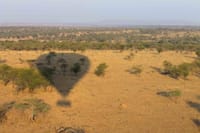 4 Days - Serengeti Fly In Safari 6