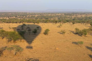 Serengeti Fly-In Safari: 4-Day Adventure from Arusha
