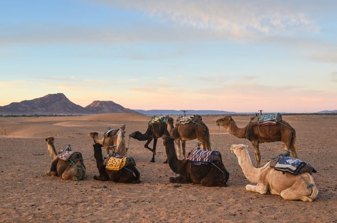 3-Day Tour to Erg Chegaga 5