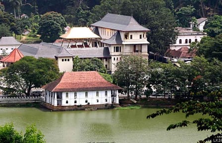 Three-Day Nature and Culture Tour from Kandy, Sri Lanka