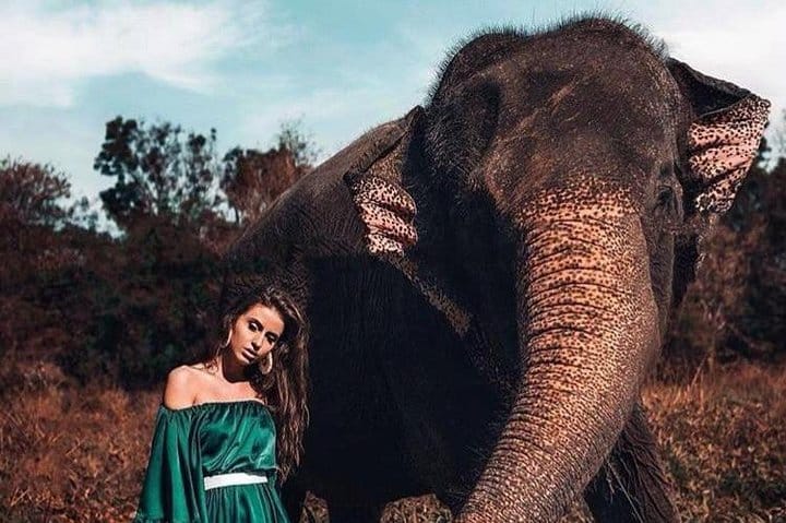 Kandy & Nuwara Eliya | 2 Days Tour