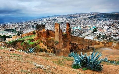 Private City Tour of Fes with Personal Guide