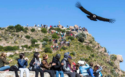 3-Day Colca Canyon Trek from Arequipa to Sangalle