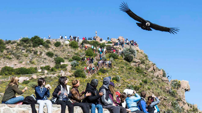 3-day Colca Canyon Trek Adventure 2