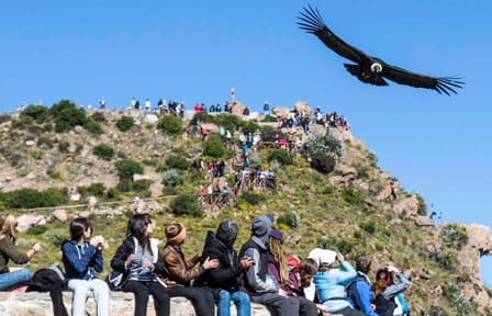 3-Day Colca Canyon Trek from Arequipa to Sangalle