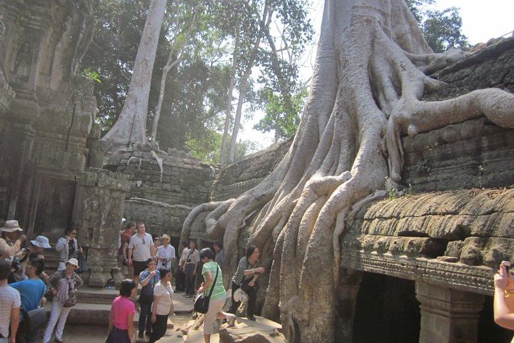 Shared Tour to Angkor Wat, Bayon and Ta Prohm Temples