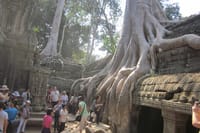 Ta Prohm