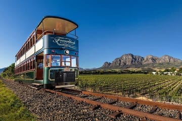 Cape Winelands Private Tour to Stellenbosch and Franschhoek