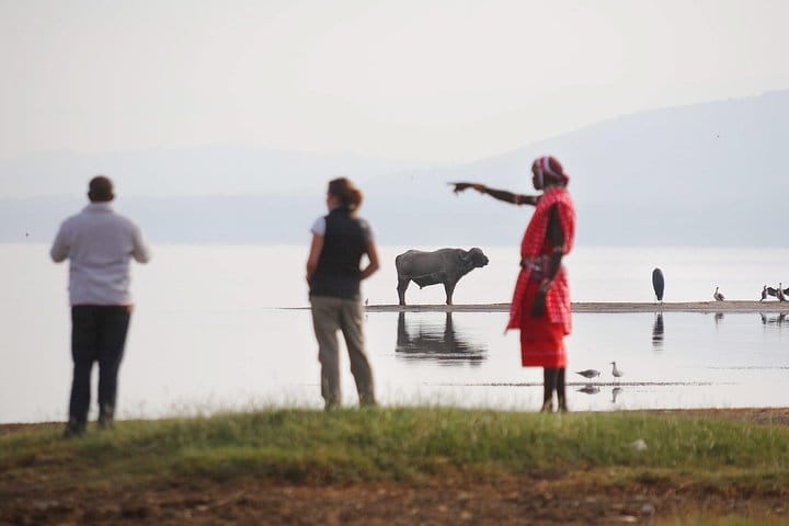 2-Day Flamingo & Rhino Safari at Lake Nakuru