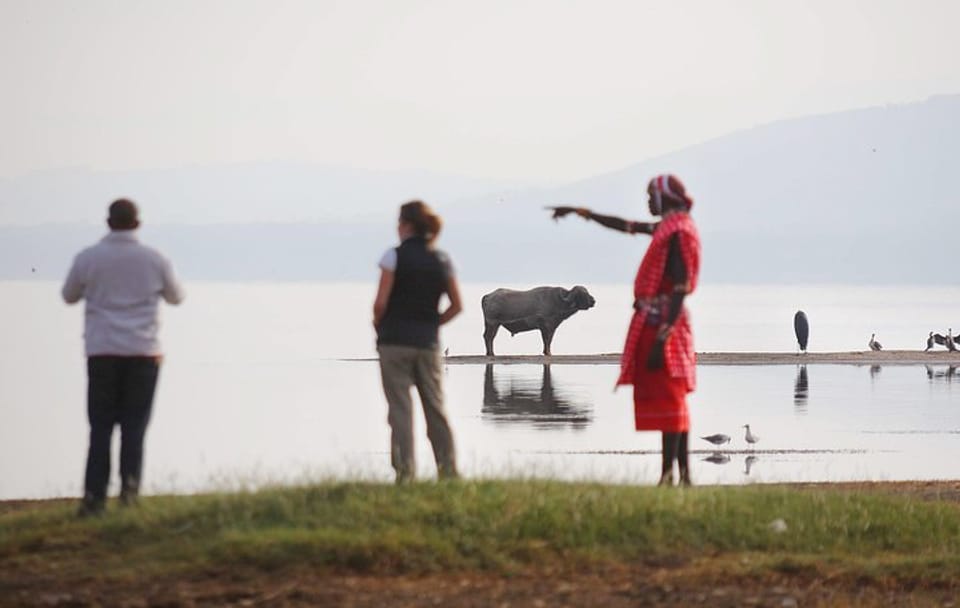 2-Day Lake Nakuru Safari for Flamingos and Rhinos