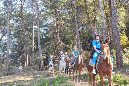 Horse Riding Adventure in the Taurus Mountains - Explore Alanya's Beauty