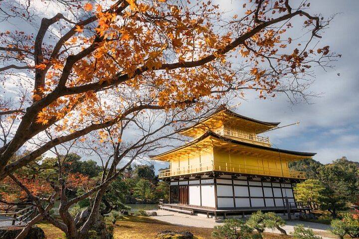 Full Day Guided Kyoto Cultural Tour