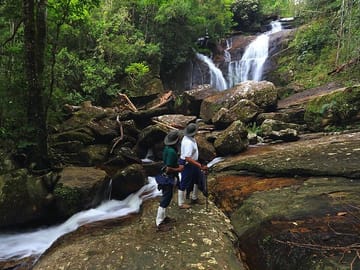 Rain Forest Trekking at Kitulgala Forest Reserve Sri Lanka