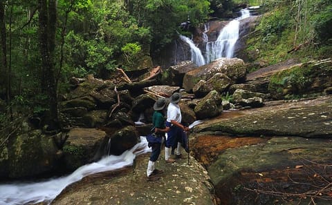 Rain Forest Trekking at Kitulgala Forest Reserve Sri Lanka