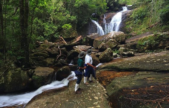 Rain Forest Trekking at Kitulgala Forest Reserve Sri Lanka