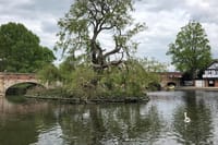 Private Full-Day Tour of Shakespeare's Stratford-Upon-Avon 5