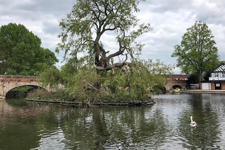 Private Full-Day Tour of Shakespeare's Stratford-Upon-Avon 5