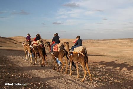 Camel Ride in Agafay Desert from Marrakech