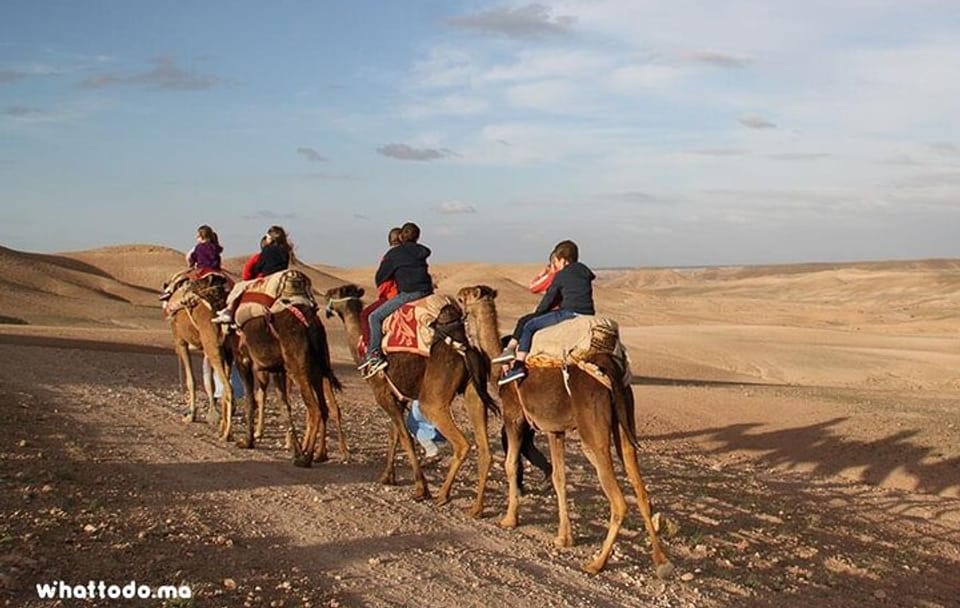 Camel Ride in Agafay Desert from Marrakech