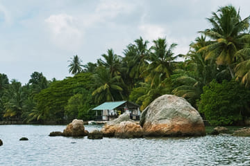 Boat Safari for Bat Watching and Cinnamon in Koggala