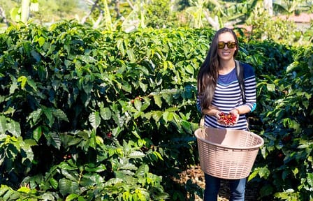 Guided Tour of Kiambu Coffee Farm and Factory in Nairobi