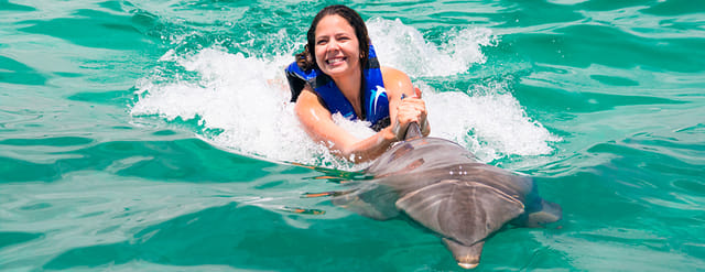 Dolphin Explorer - Explorer