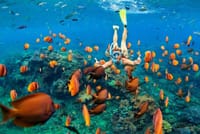 Bali: Blue Lagoon and Tanjung Jepung Snorkeling Tour 2