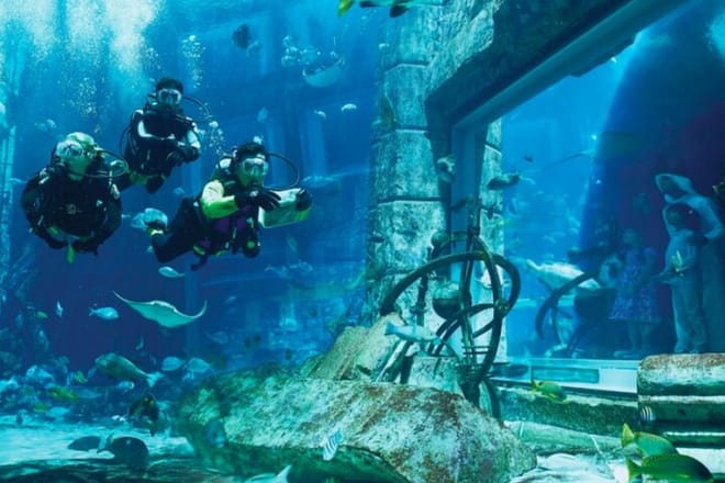 An underwater adventure awaits at Aquaventure and Lost Chambers Aquarium in Dubai."
