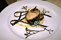 Abalone Farm Tour, Tasting and Coastal Seaweed Walk. Galway. Guided. 8
