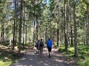 Private National Park and Porvoo Old Town tour from Helsinki 2