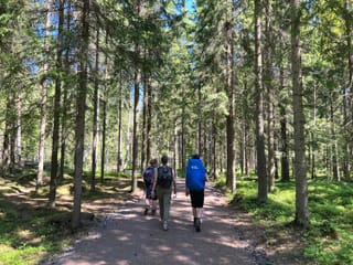 Private National Park and Porvoo Old Town Tour from Helsinki