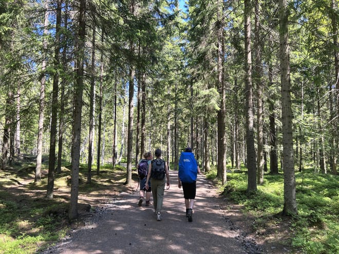 Private National Park and Porvoo Old Town tour from Helsinki 2