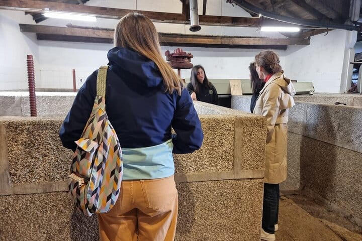 Porto to Douro with optional stops Amarante-Régua-Lamego-Vila Real-Pinhão