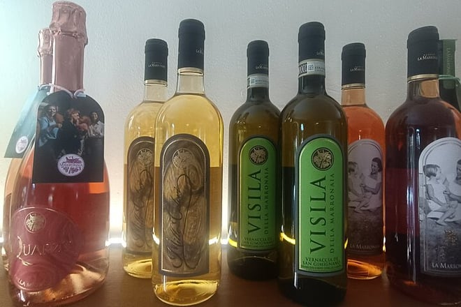 Pisa & Lucca Private Tour with wine-tasting from La Spezia Port - Photo 2