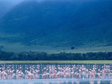 15-Day Private Adventure Tour of Tanzania and Zanzibar