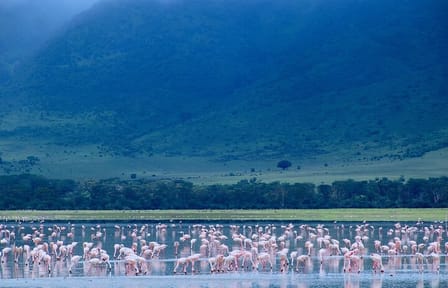 Experience Tanzania and Zanzibar with 15 Days Private Tour