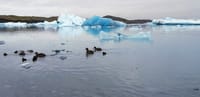 Glacier Lagoon Private Tour with Private Zodiac Boat Ride on the Iceberg Lagoon 7