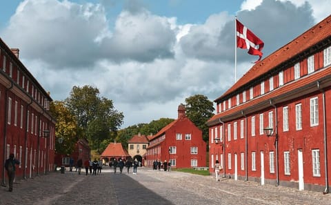 Private Walking Tour of Copenhagen's Nyhavn and Amalienborg Palace