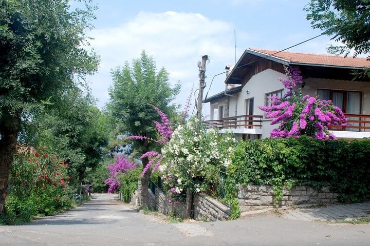  Istanbul: Princes Islands Tour with Hotel Transfer & Lunch 5