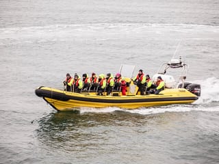 Puffin Tour by RIB Speedboat from Downtown Reykjavik, photo 9