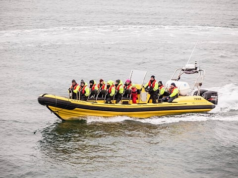 Puffin Tour by RIB Speedboat from Downtown Reykjavik, photo 9