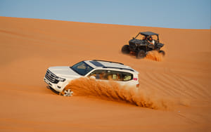 Dubai: Red Dunes Safari with Dune Buggy, Sandboard & Camel
