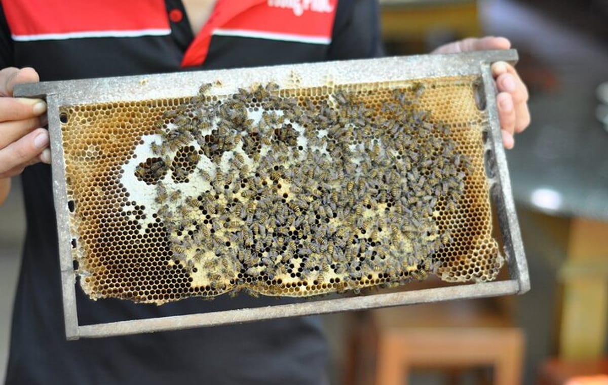 Full-day Exploring The Flavors Of The Mekong Delta