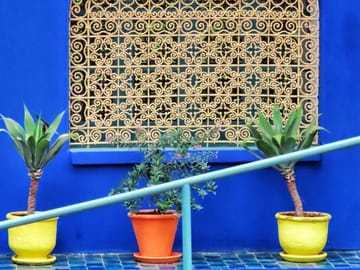 Majorelle Garden Berber and Ysl Museum Tickets Round Trip