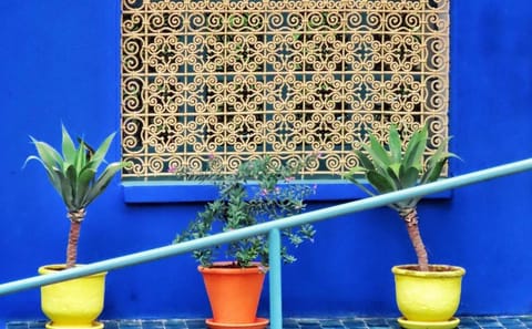 Majorelle Garden Berber and Ysl Museum Tickets Round Trip