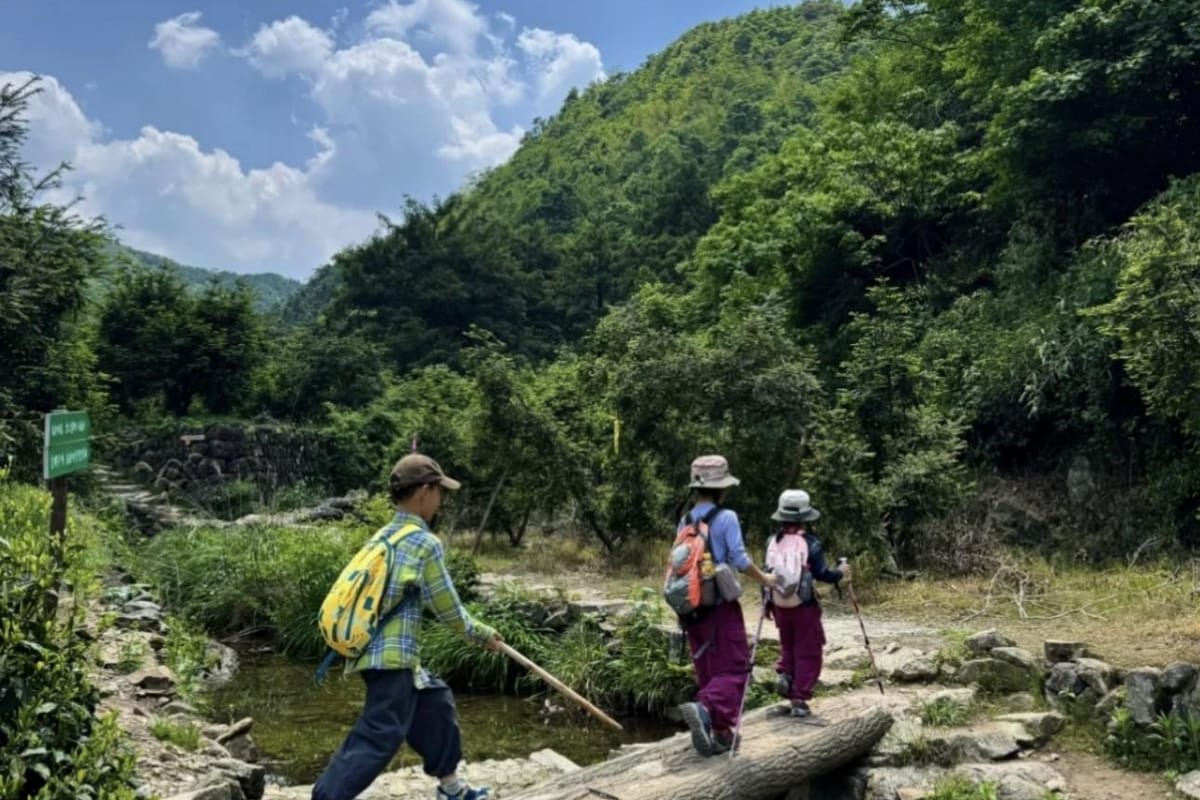 Which Great Wall Section Is Best? Mutianyu vs Badaling vs Jinshanling (2026 Guide)