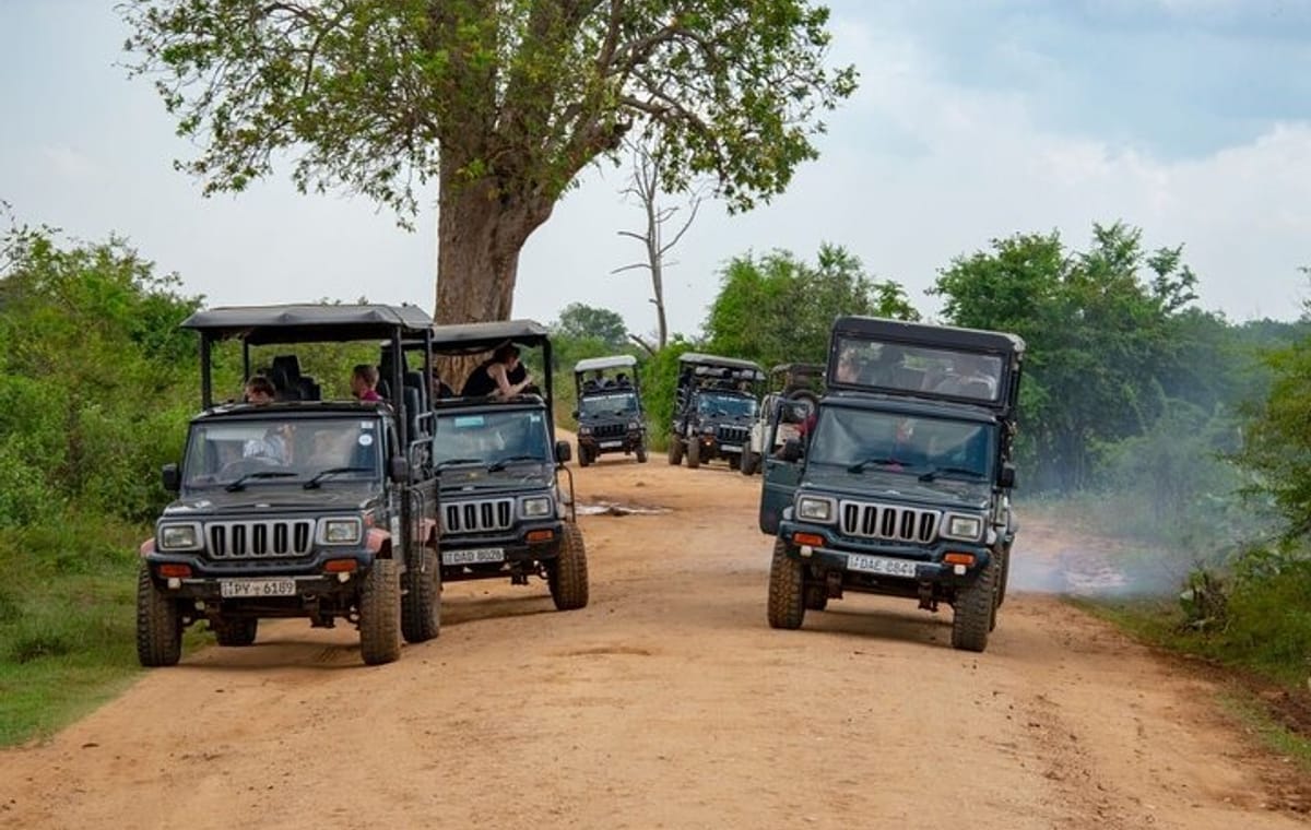 04 day Sri Lanka Beach, Wildlife Tour & Colombo city tour