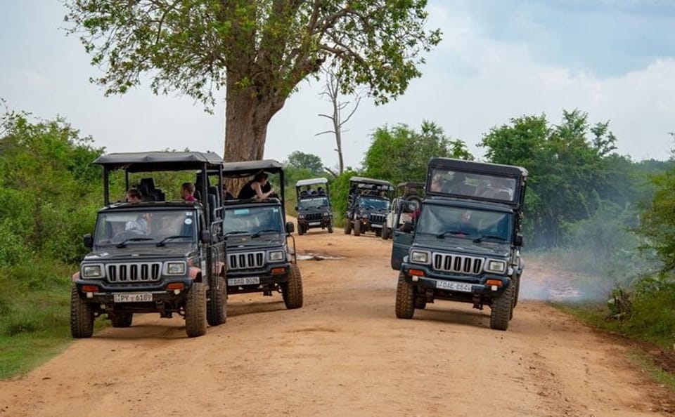 Four-Day Wildlife and City Tour in Colombo and Udawalawe